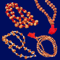 Gauri Shankar Rudraksh Mala